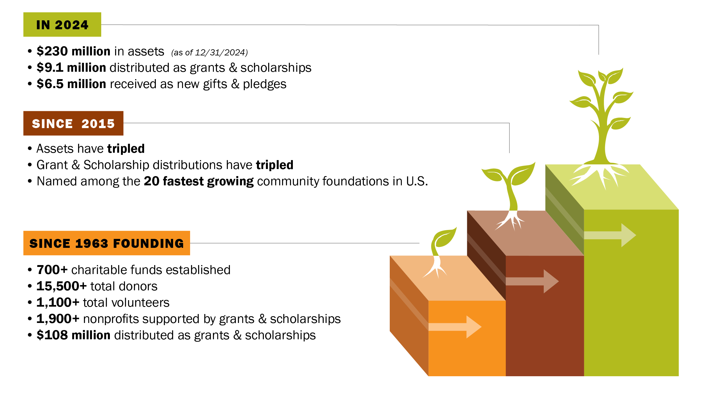 AAACF About Us Graphic